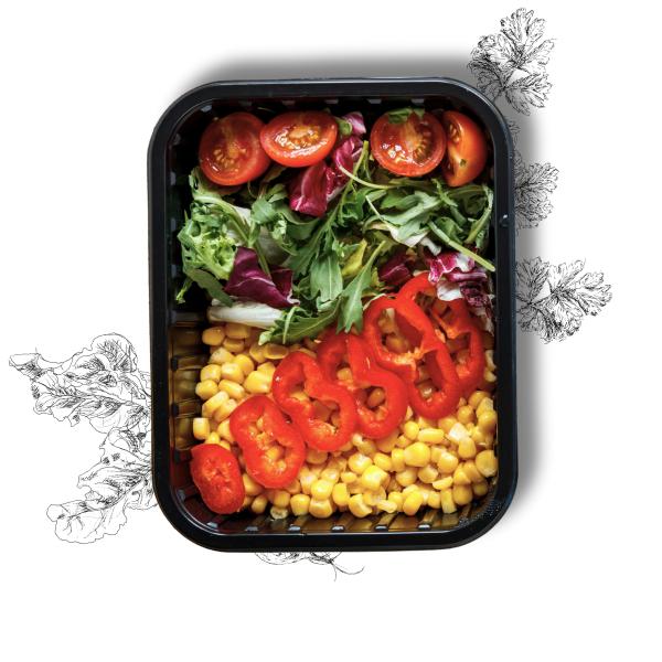 Dieta <br/>Wegetariańska